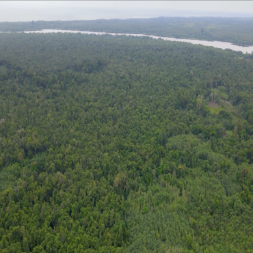 Biodiversité et résilience écologique